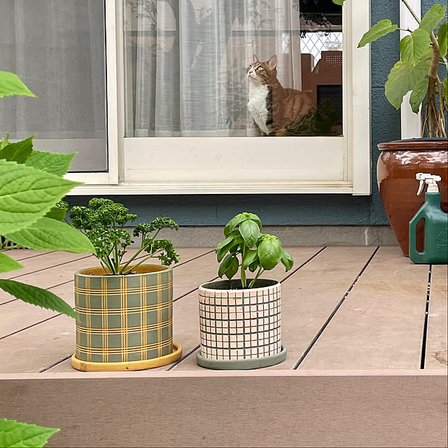 nobikoさんの部屋