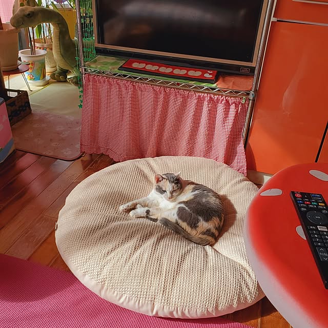 kumutanさんの実例写真