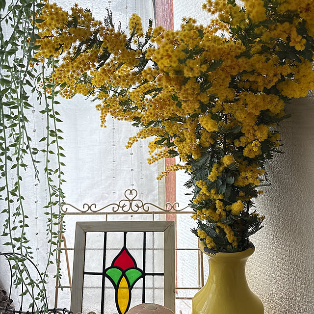 mii-tanさんの部屋