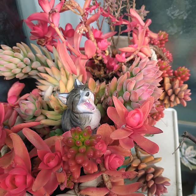 NOAHさんの実例写真