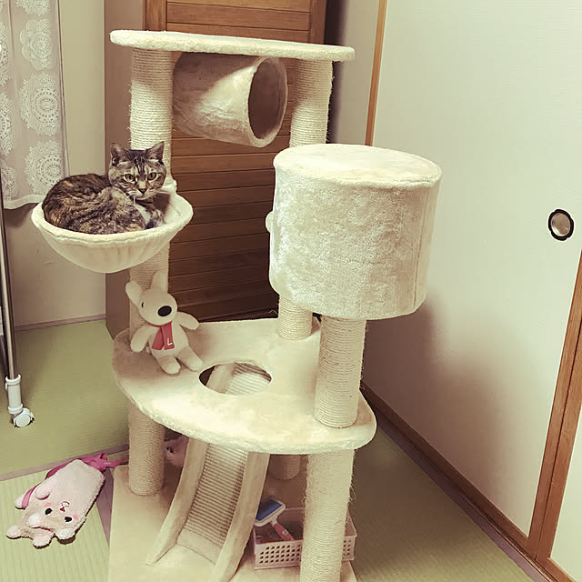 minminさんの実例写真
