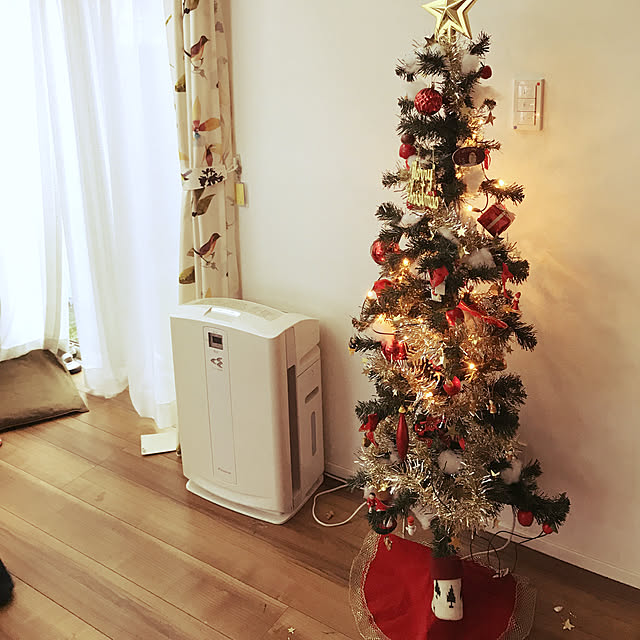 リビング/クリスマスのインテリア実例 - 2018-11-23 15:00:56