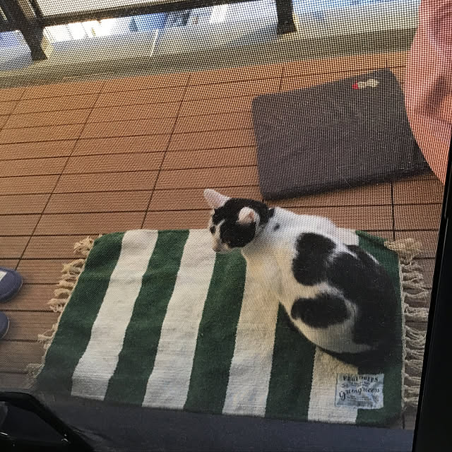 hanaさんの実例写真