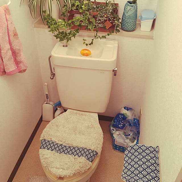 バス/トイレ/観葉植物のインテリア実例 - 2016-10-07 19:23:59