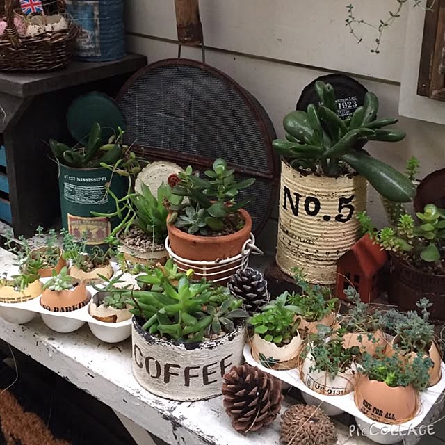 mintさんの実例写真