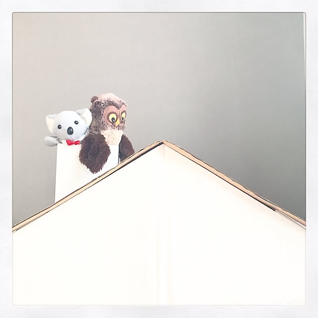 itoさんの実例写真