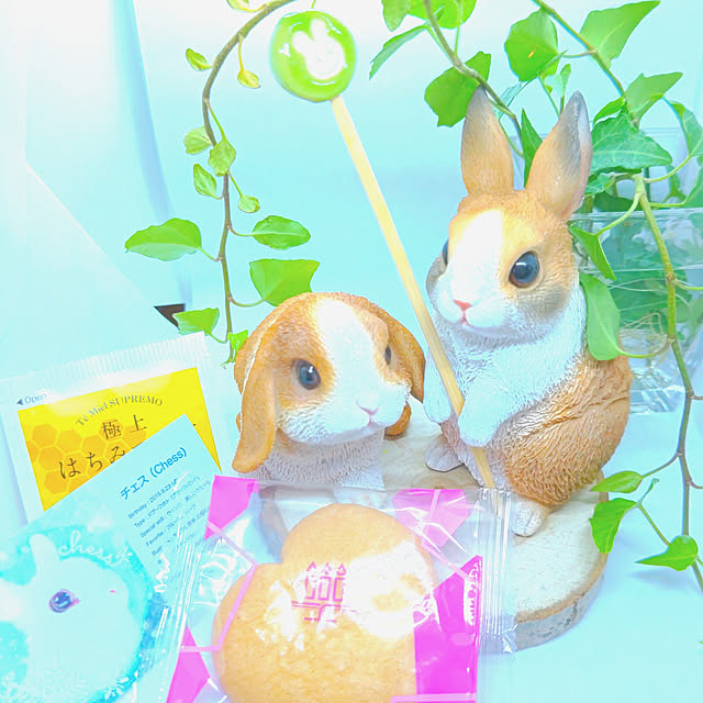 mariaさんの実例写真