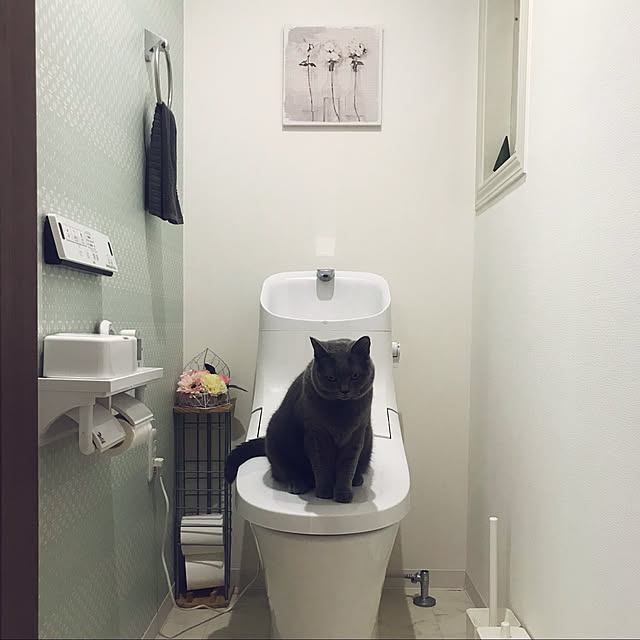 バス/トイレのインテリア実例 - 2019-10-16 13:41:58