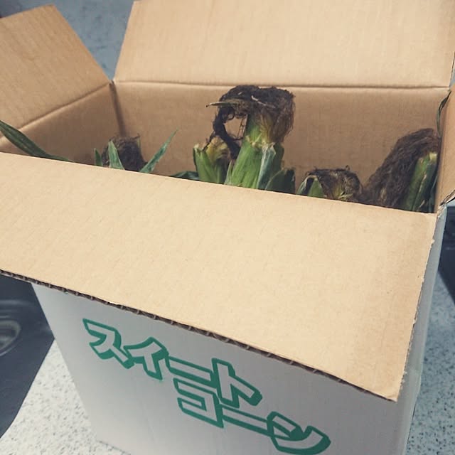 hopkeiさんの実例写真