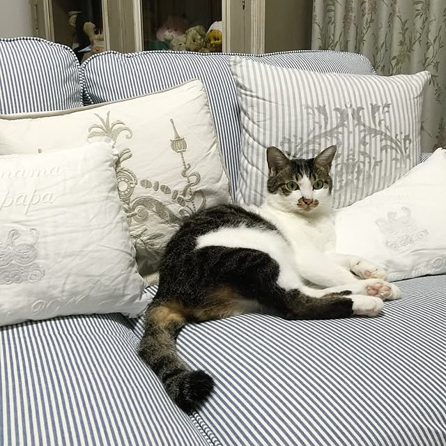 yuchiさんの実例写真