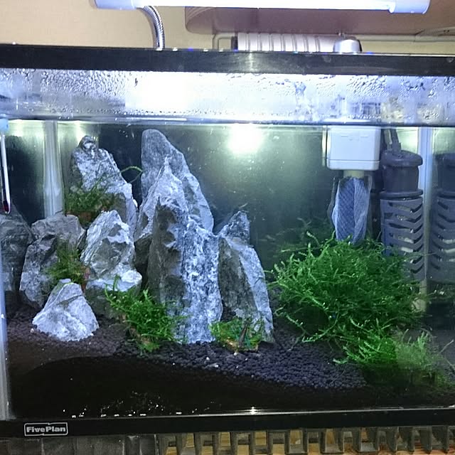 fumiさんの実例写真