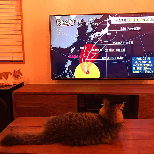 sakurasakuさんの実例写真