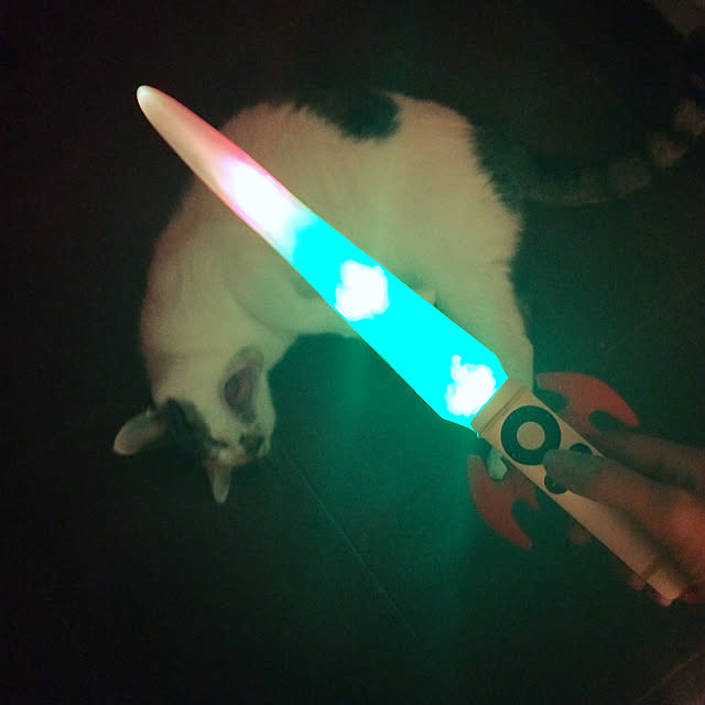 usacoさんの実例写真