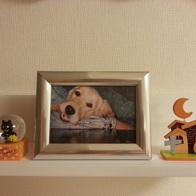 evetamaさんの実例写真