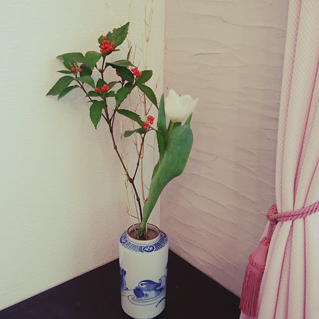 maikoronnさんの実例写真