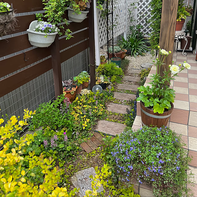 hinamamaさんの部屋