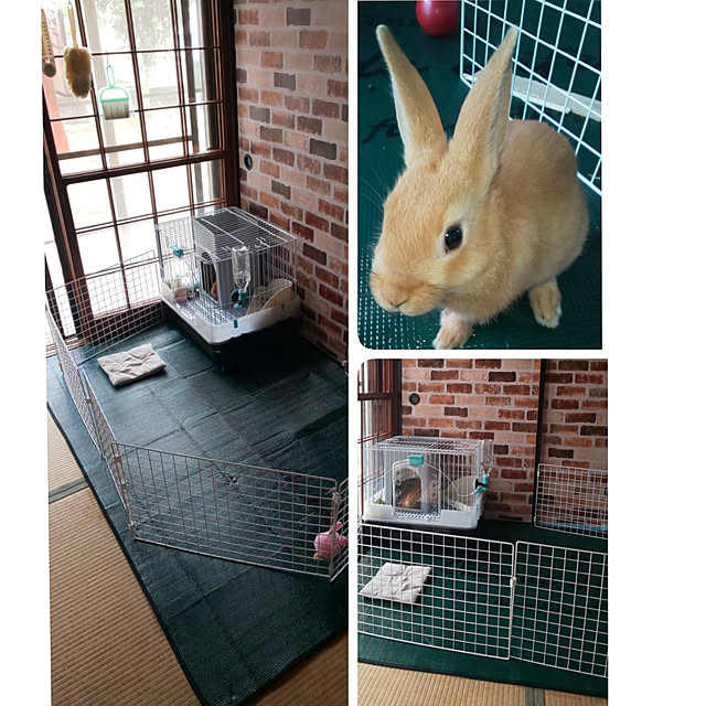 yumahaさんの実例写真