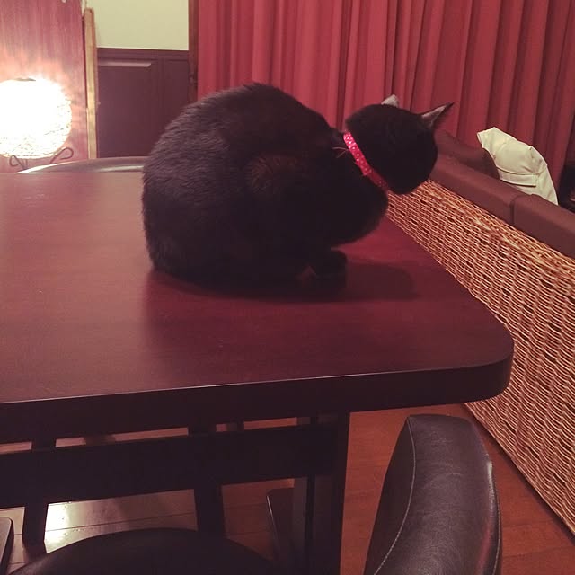 solaさんの実例写真