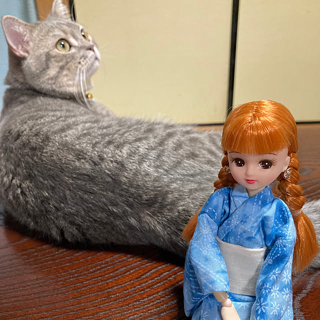 FUJICOさんの実例写真