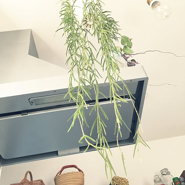 marley0209さんの実例写真