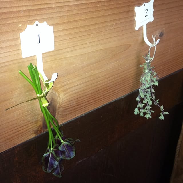 壁/天井/植物のインテリア実例 - 2014-05-02 00:15:14
