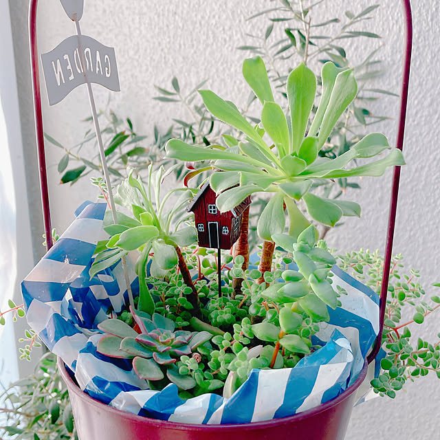 Hanakaさんの部屋