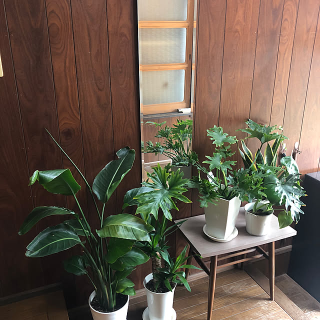 conatuさんの実例写真