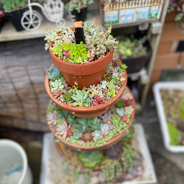 sakuranboさんの部屋