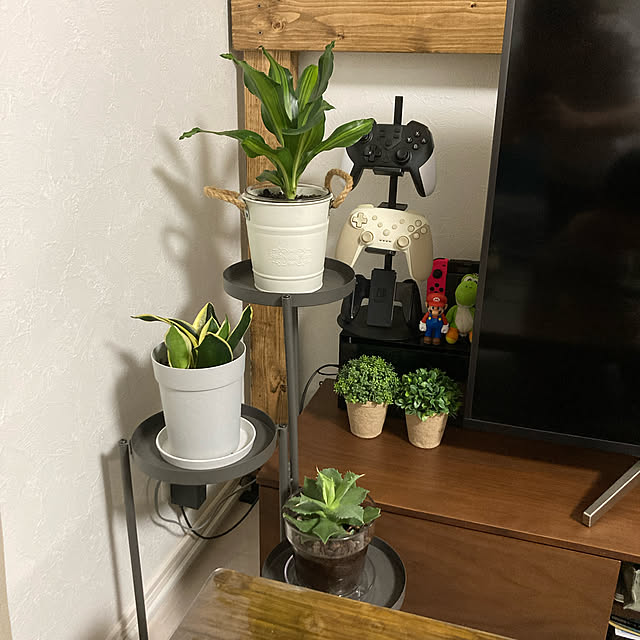 anko.hibuさんの実例写真