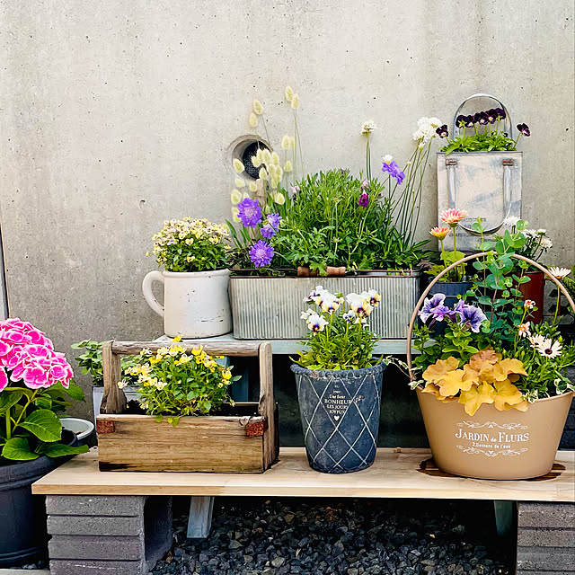 寄せ植え初心者/アンティークビオラ/パープル好き❤︎/お花のある暮らし/観葉植物...などのインテリア実例 - 2021-04-27 13:54:59