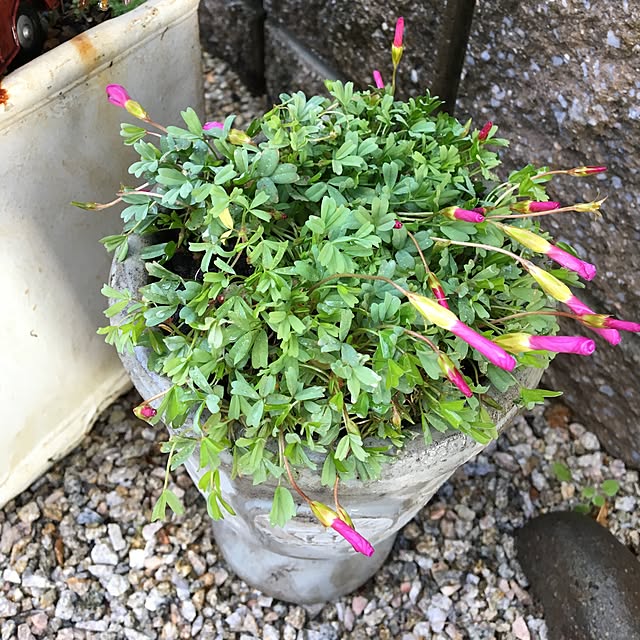 sanw2225719さんの実例写真