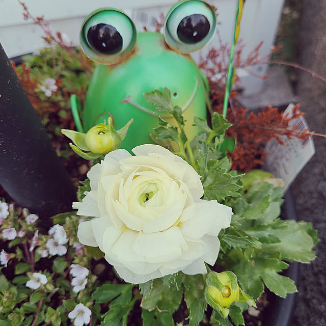 kawaiiouchi-labo.akiさんの実例写真