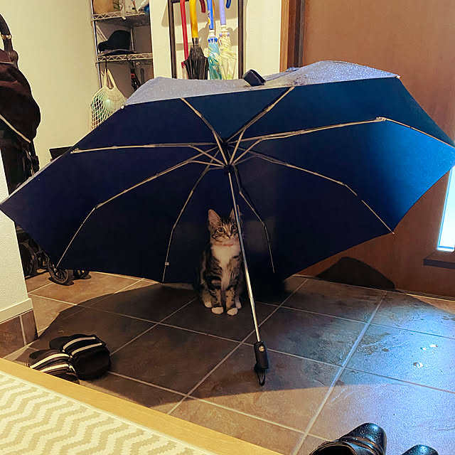 Komekoさんの実例写真