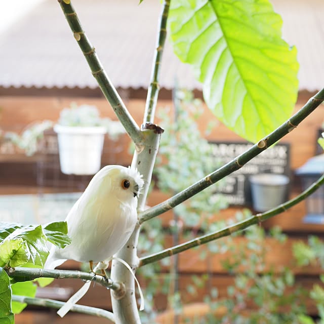 maronさんの実例写真