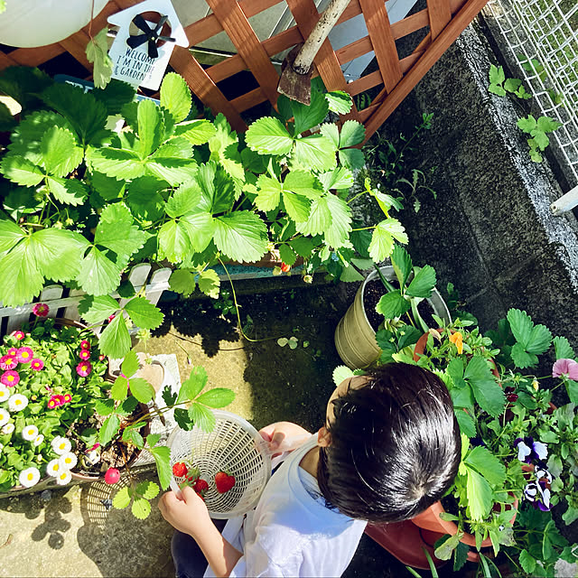 CoCo0617さんの実例写真