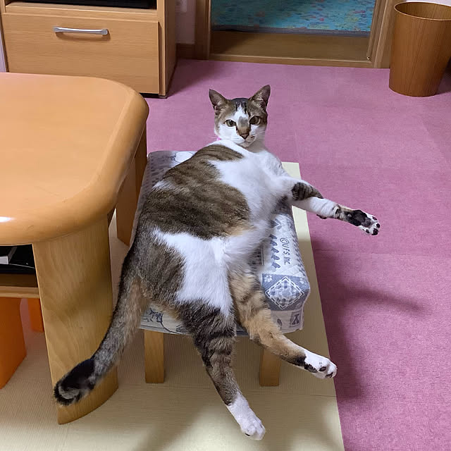 haruminさんの実例写真