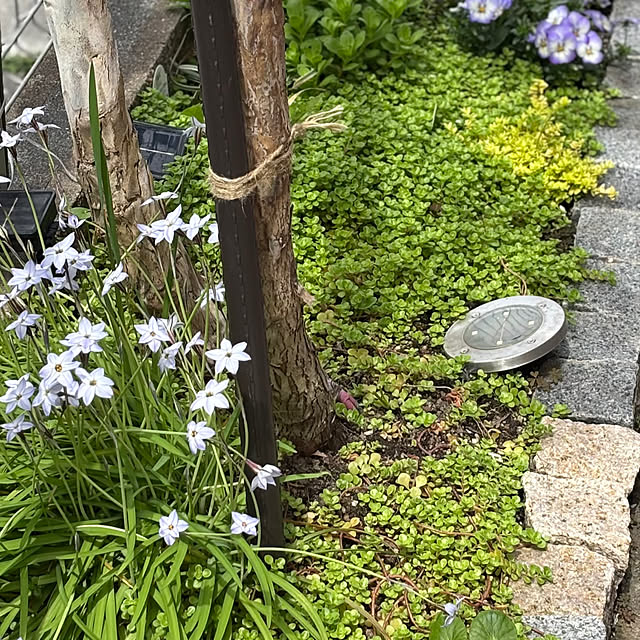 omasaさんの部屋