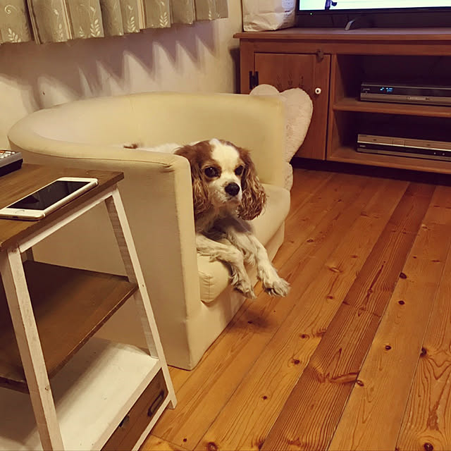RUBYさんの部屋