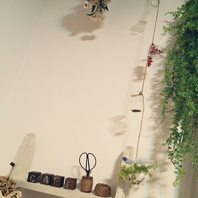 kanakorianさんの実例写真