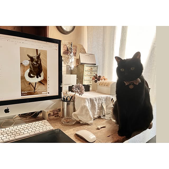 ataさんの実例写真