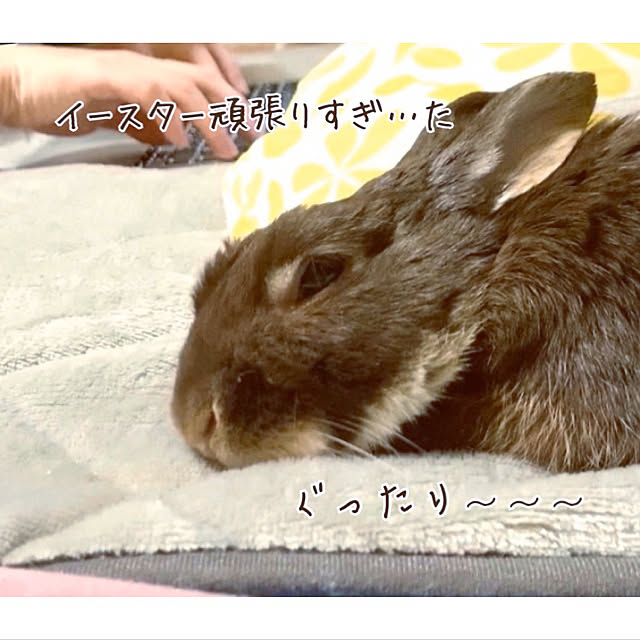 mo-nosukeさんの実例写真