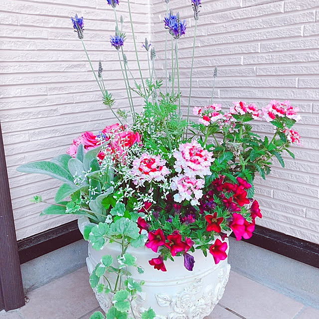k.yuka29さんの実例写真