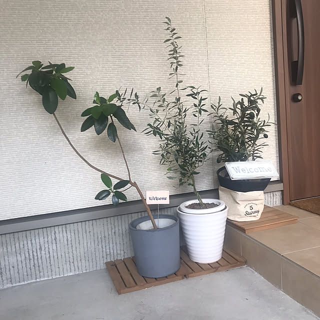 Yukoさんの実例写真