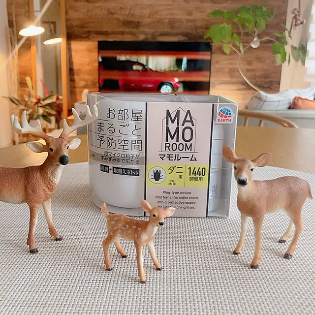 n.kiki.aさんの実例写真