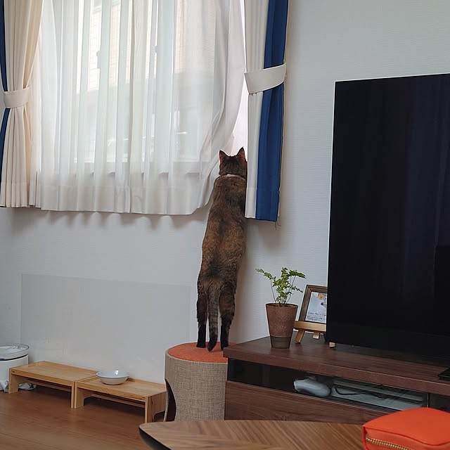 mochicoさんの実例写真
