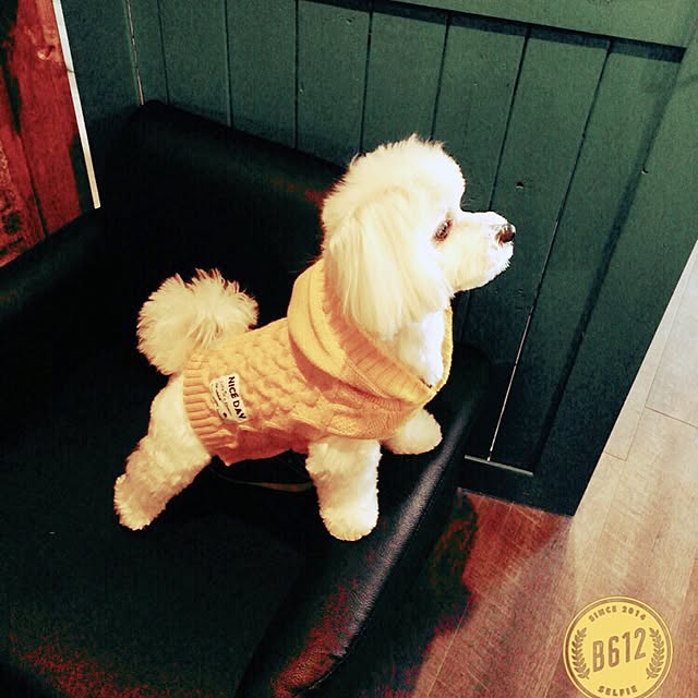 relaxsunさんの実例写真
