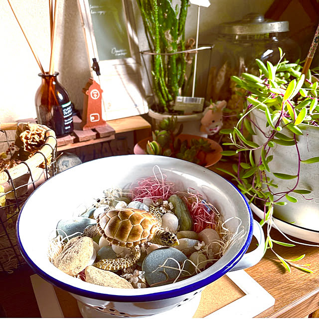 takakoさんの部屋