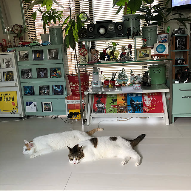 arayanさんの実例写真