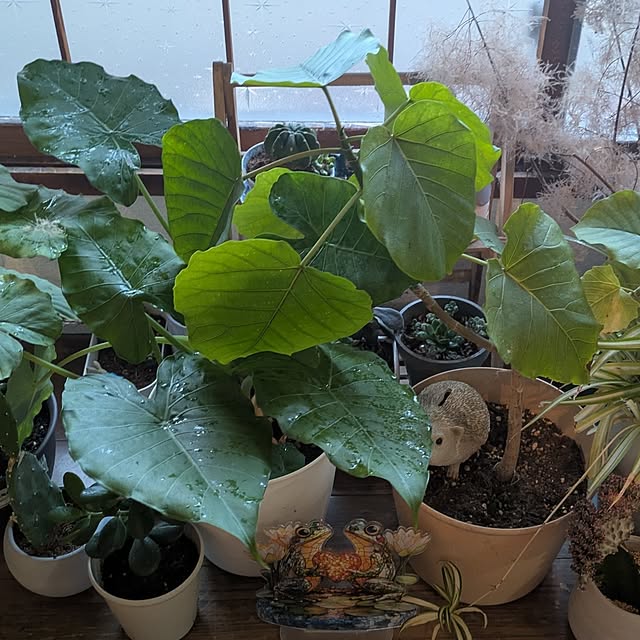 monnさんの実例写真