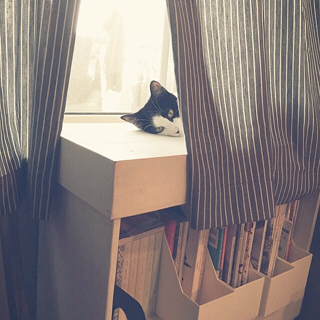 ziziguguさんの実例写真